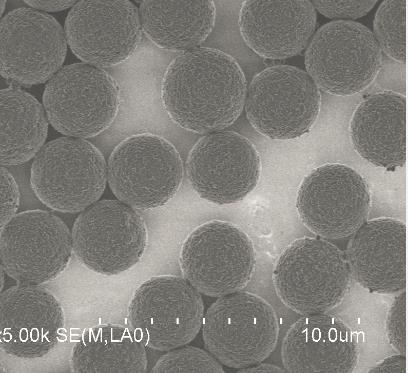 甲苯磺?；胖?供應信息 食品科技網