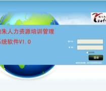 管理軟件開發、銷售與計算機系統集成服務的綜合解析