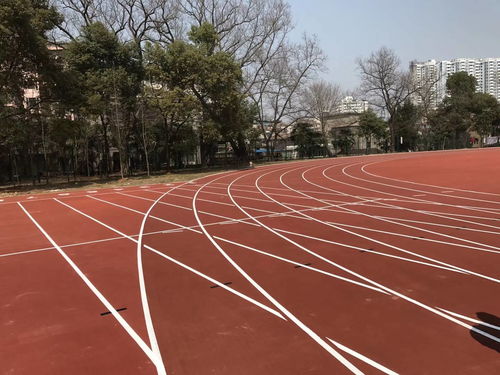 塑膠跑道類(lèi)型對(duì)比 預(yù)制型跑道卷材的優(yōu)勢(shì)與應(yīng)用